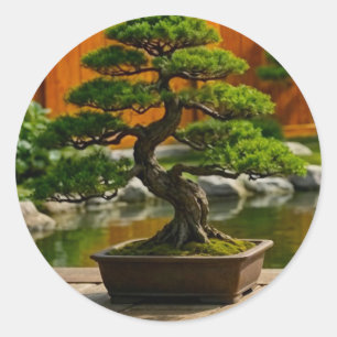 Sticker Rond Arbre Bonsaï du Dragon de l'Équilibre