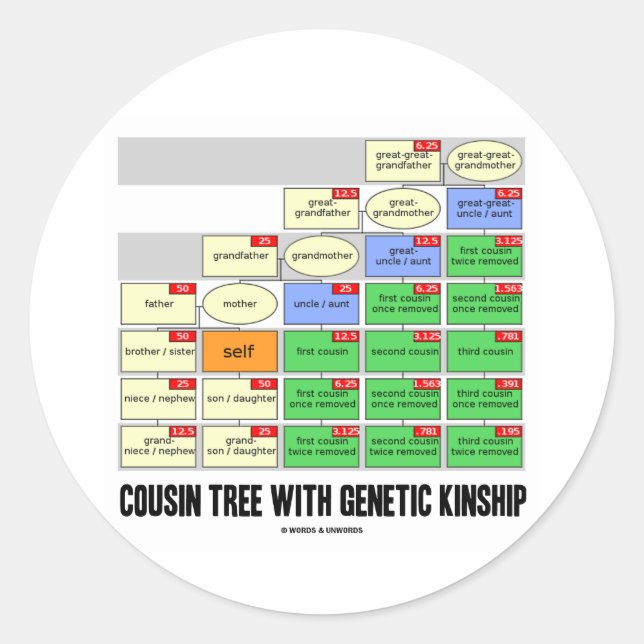Sticker Rond Arbre Cousin Avec Parenté Génétique (Généalogie) (Devant)