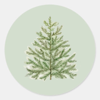 Sticker Rond Arbre de Noël Waterton