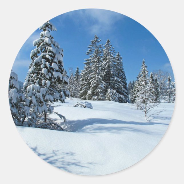 Sticker Rond Arbres couverts de neige, Scène d'hiver (Devant)