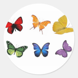 Sticker Rond Arc-en-ciel des papillons