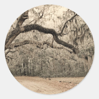 Sticker Rond Arche d'Oakes