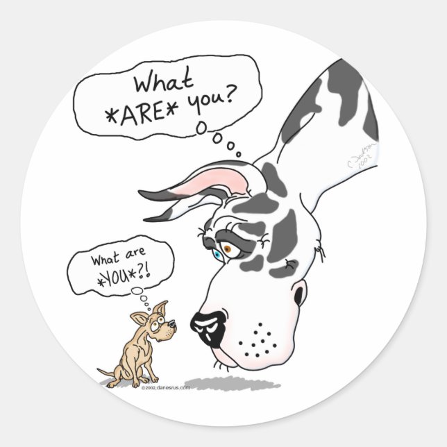 Sticker Rond Arlequin Dane & Chihuahua (Devant)