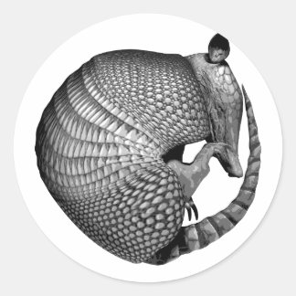 Sticker Rond Armadillo