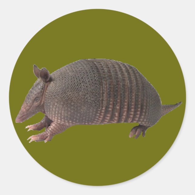 Sticker Rond Armadillo (Devant)