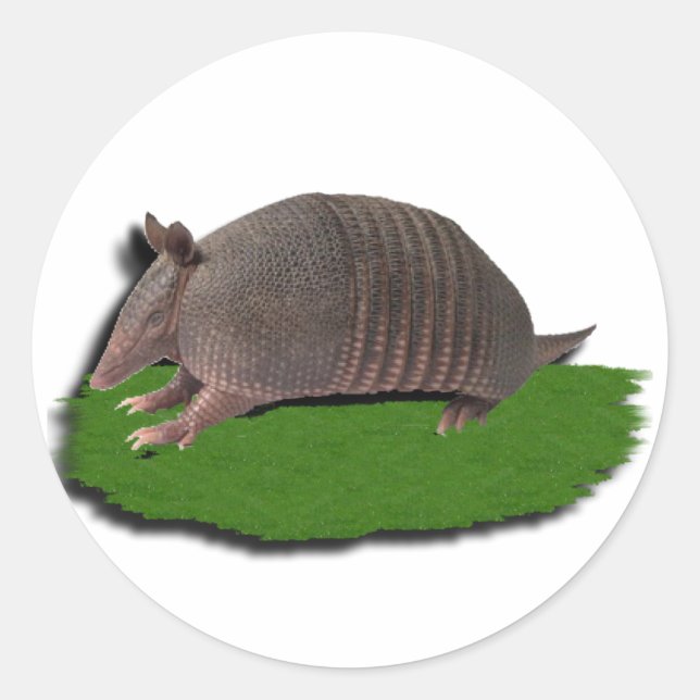 Sticker Rond Armadillo (Devant)