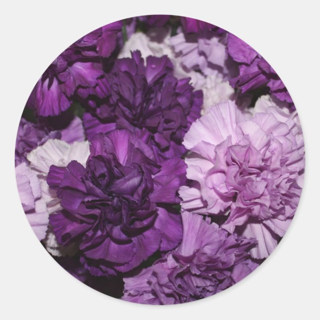 Sticker Rond Arrangement de fleurs d'oeillets pourpres (Devant)