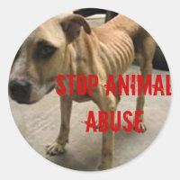 Arrêter la maltraitance animale