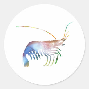 Sticker Rond Art de crevette