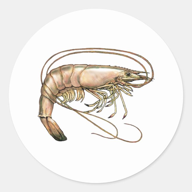 Sticker Rond Art de la crevette (Devant)