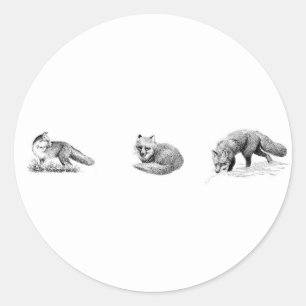 Sticker Rond Art de la ligne Fox