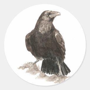 Sticker Rond Art de nature d'oiseau de Raven d'aquarelle