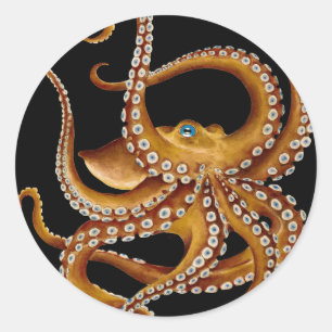 Sticker Rond Art noir octopus bleu oeil Brown