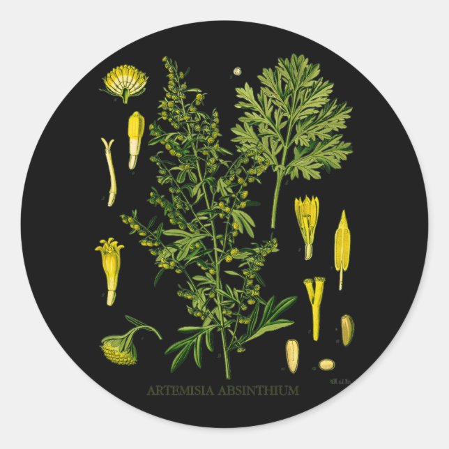 Sticker Rond Artemesia Absinthium (Devant)