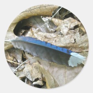 Sticker Rond Articles coordonnés de plume de geai bleu