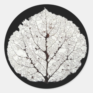 Sticker Rond Aspen Feuille Squelette 1