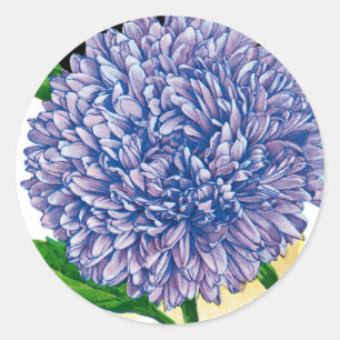 Sticker Rond Aster Vintage Seed Packet