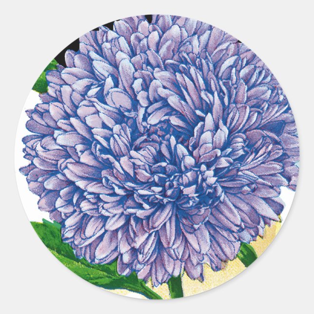 Sticker Rond Aster Vintage Seed Packet (Devant)