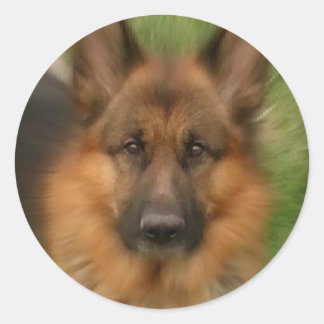 Sticker Rond Atlas le chien des merveilles