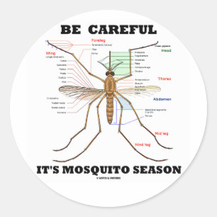 Sticker Rond Attention c'est la saison des moustiques (Anatomie