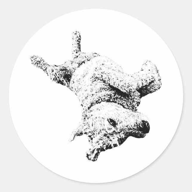 Sticker Rond Attitude du ventre (Devant)