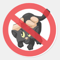 Aucun chat