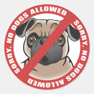 Sticker Rond Aucun chien autorisé