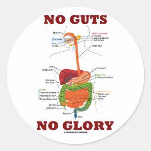 Sticker Rond Aucunes entrailles aucune gloire (humour