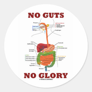 Sticker Rond Aucunes entrailles aucune gloire (humour