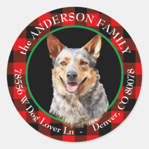 Sticker Rond Australian Cattle Dog Buffalo Adresse de retour