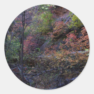 Sticker Rond Automne à Sedona