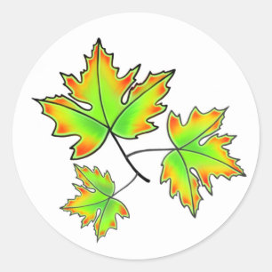 Sticker Rond Automne Feuilles élégant automne botanique