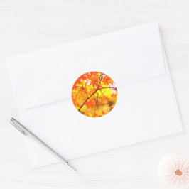 Sticker Rond Autumn Leaves [Round Seal]