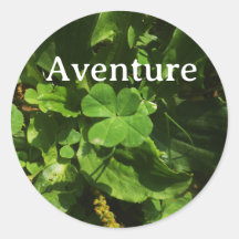 Aventure Trèfle à quatre feuilles