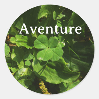 Sticker Rond Aventure Trèfle à quatre feuilles