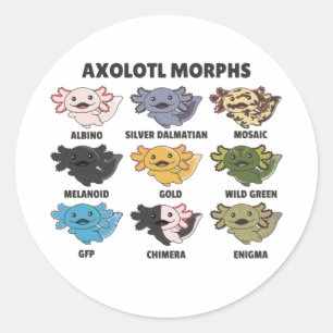 Sticker Rond Axolotls Du Monde Sweet Animaux Clas Axolotl