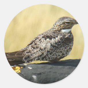 Sticker Rond B29 Engoulevent commun