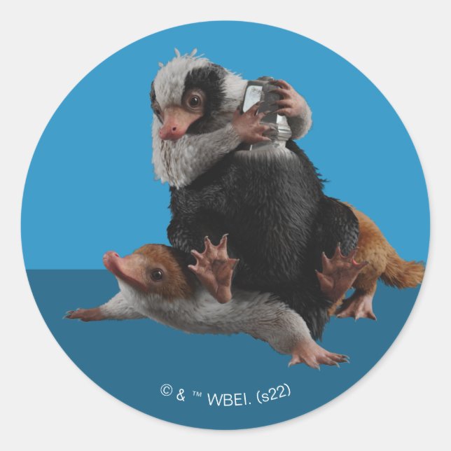 Sticker Rond Baby Nifflers Find A Prize (Devant)