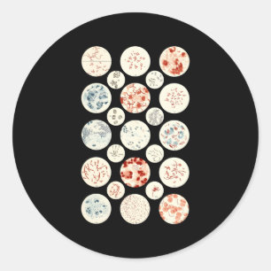 Sticker Rond Bactérie Microbiologie Bactérie Science Minuscule