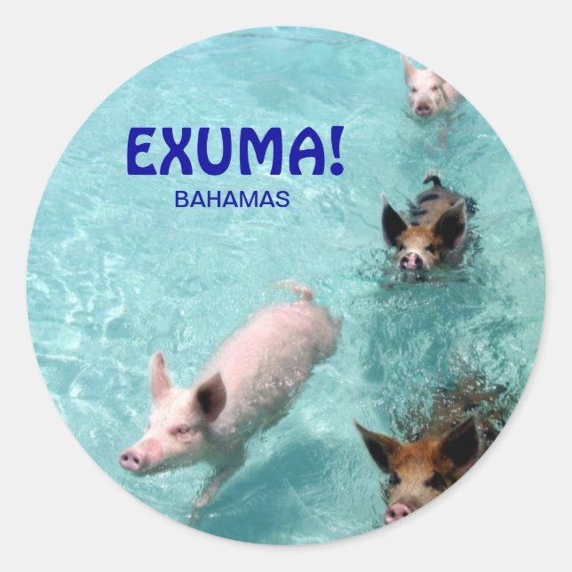 Sticker Rond Baguette de cochons d'eau salée (Devant)