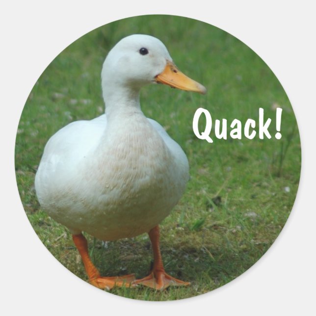 Sticker Rond Baguettes de canard blanc mignonnes (Devant)