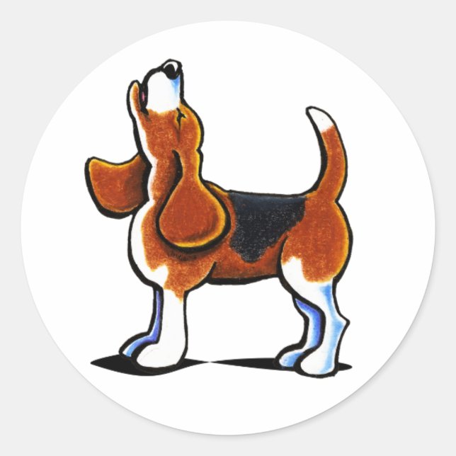 Sticker Rond Baie de Beagle à trois couleurs (Devant)