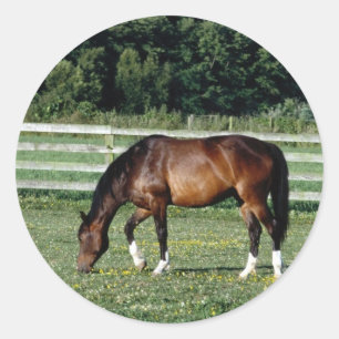 Sticker Rond Baie de pâturage avec Chaussettes blanches