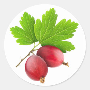 Sticker Rond Baies rouges