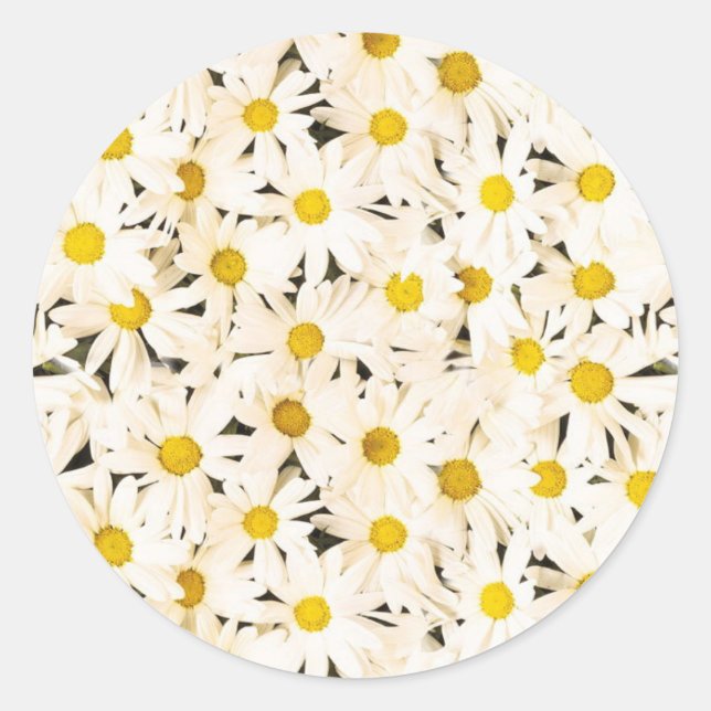 Sticker Rond Baisers blancs Personnalisé Blanc Modèle tendance  (Devant)