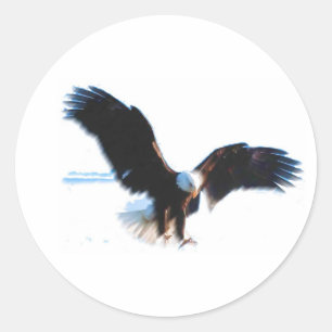Sticker Rond Bald American Eagle Landing