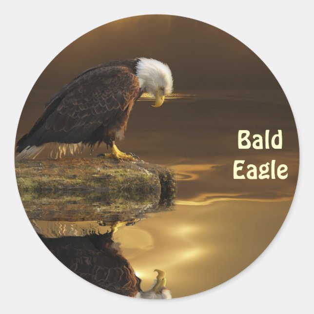 Sticker Rond Bald Eagle GRATITUDE de la faune (Devant)