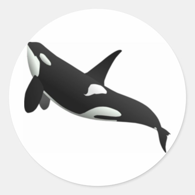 Sticker Rond Baleines (Devant)