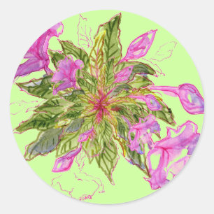 Sticker Rond Balsam Bouquet