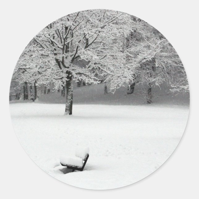 Sticker Rond Banc de neige et arbres (Devant)